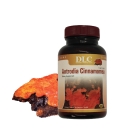 Nấm ngưu chương chi  - Cứu tinh của lá Gan