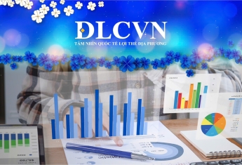 CHÍNH SÁCH DLCVN