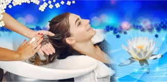 GỘI ĐẦU DƯỠNG SINH