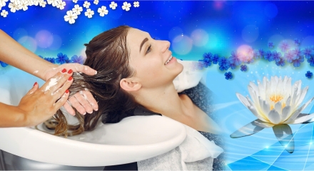 GỘI ĐẦU DƯỠNG SINH